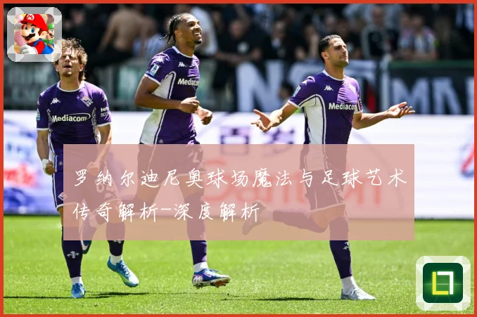 罗纳尔迪尼奥球场魔法与足球艺术传奇解析-深度解析