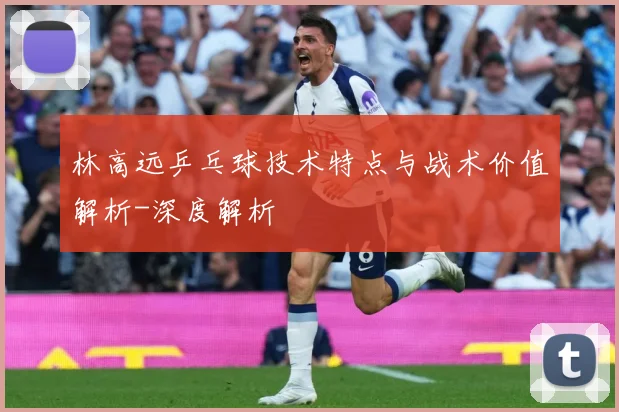 林高远乒乓球技术特点与战术价值解析-深度解析