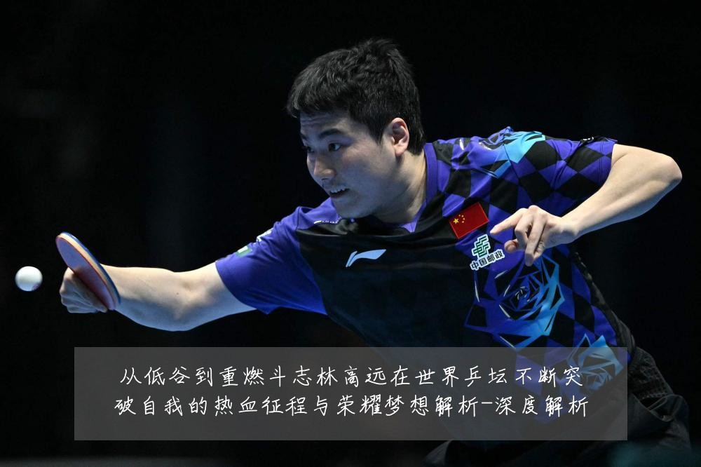 从低谷到重燃斗志林高远在世界乒坛不断突破自我的热血征程与荣耀梦想解析-深度解析